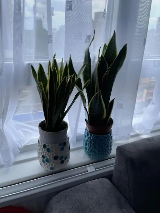Fresh Apartment & Parking London